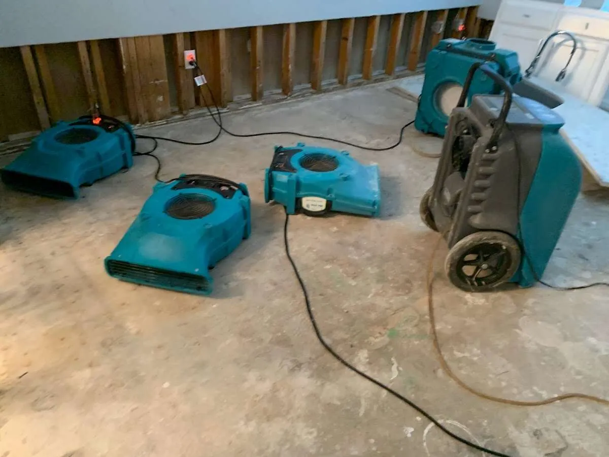 Water Damage Restoration services in Marlow Heights, MD